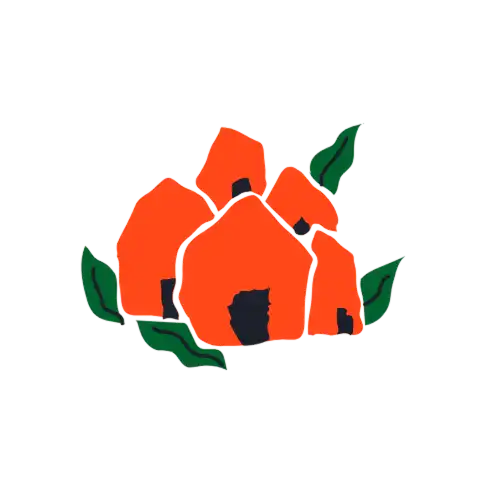 Amapolas