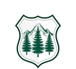Evergreen